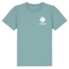 TEAL MONSTERA