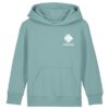 TEAL MONSTERA
