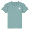 TEAL MONSTERA